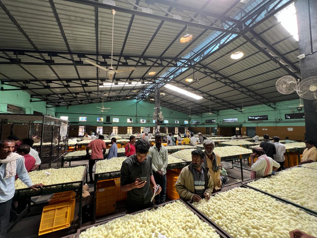 Exposure visit to cocoon market