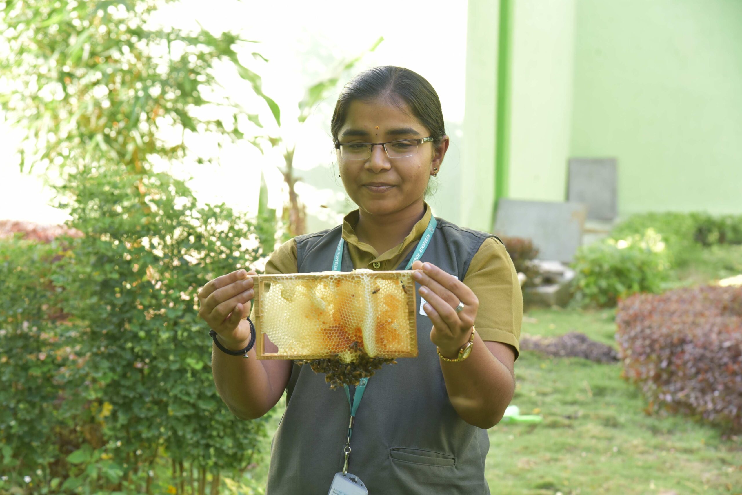 Students Handling of Indian Bee