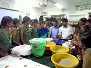 Students culturing of rice moth rearing