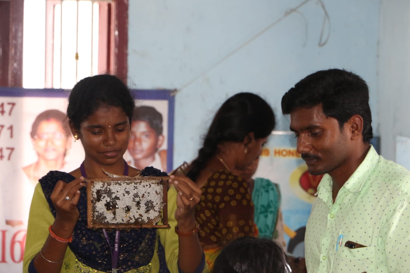 Students handling of Indian bee