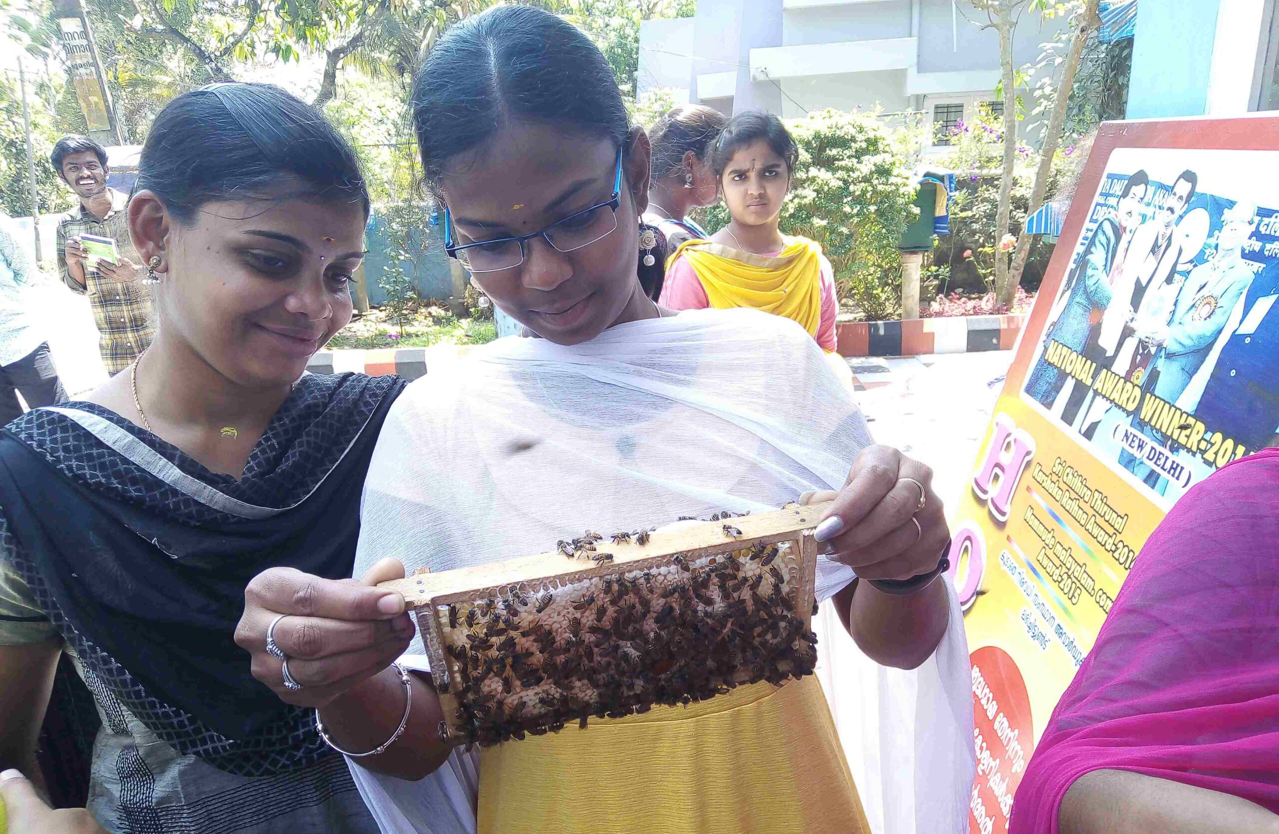 Students manipulate Indian bee