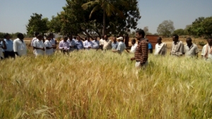 TRAINING AND FIELD DEMONSTRATION TO FARMERS