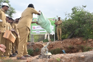 Waste Disposal Campaign3