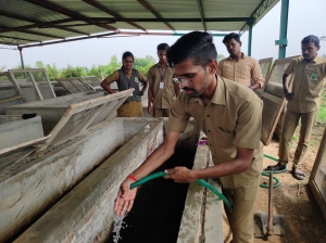 Watering of bed by students in Vermicompost unit