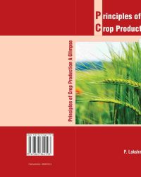 Crop production A Glimpse - Wrapper -v2