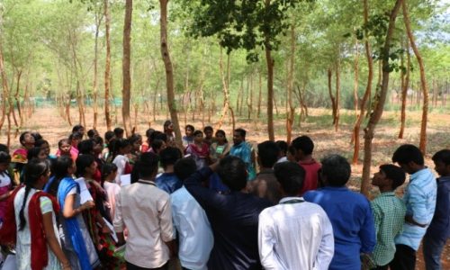 Forestry College - Mettupalayam