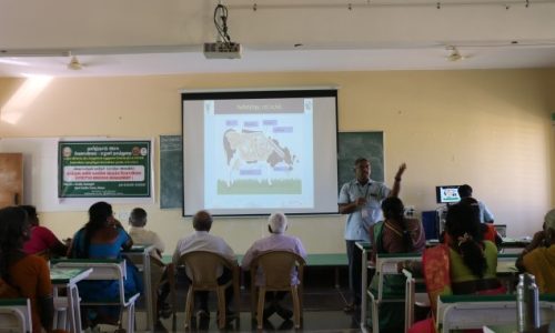 Training on effective breeding management in Cattle